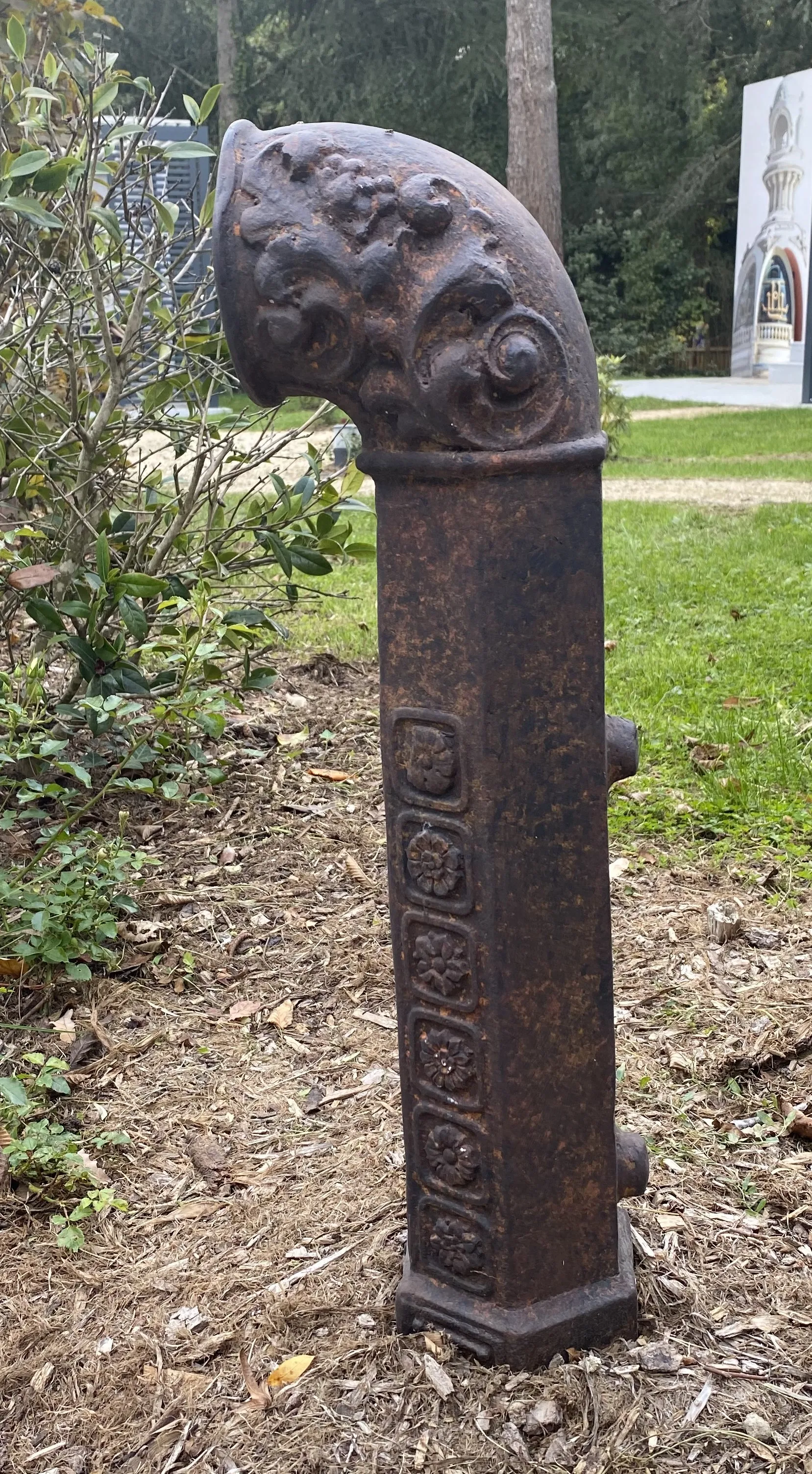 Image 19