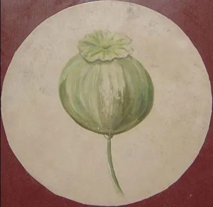 Image 17