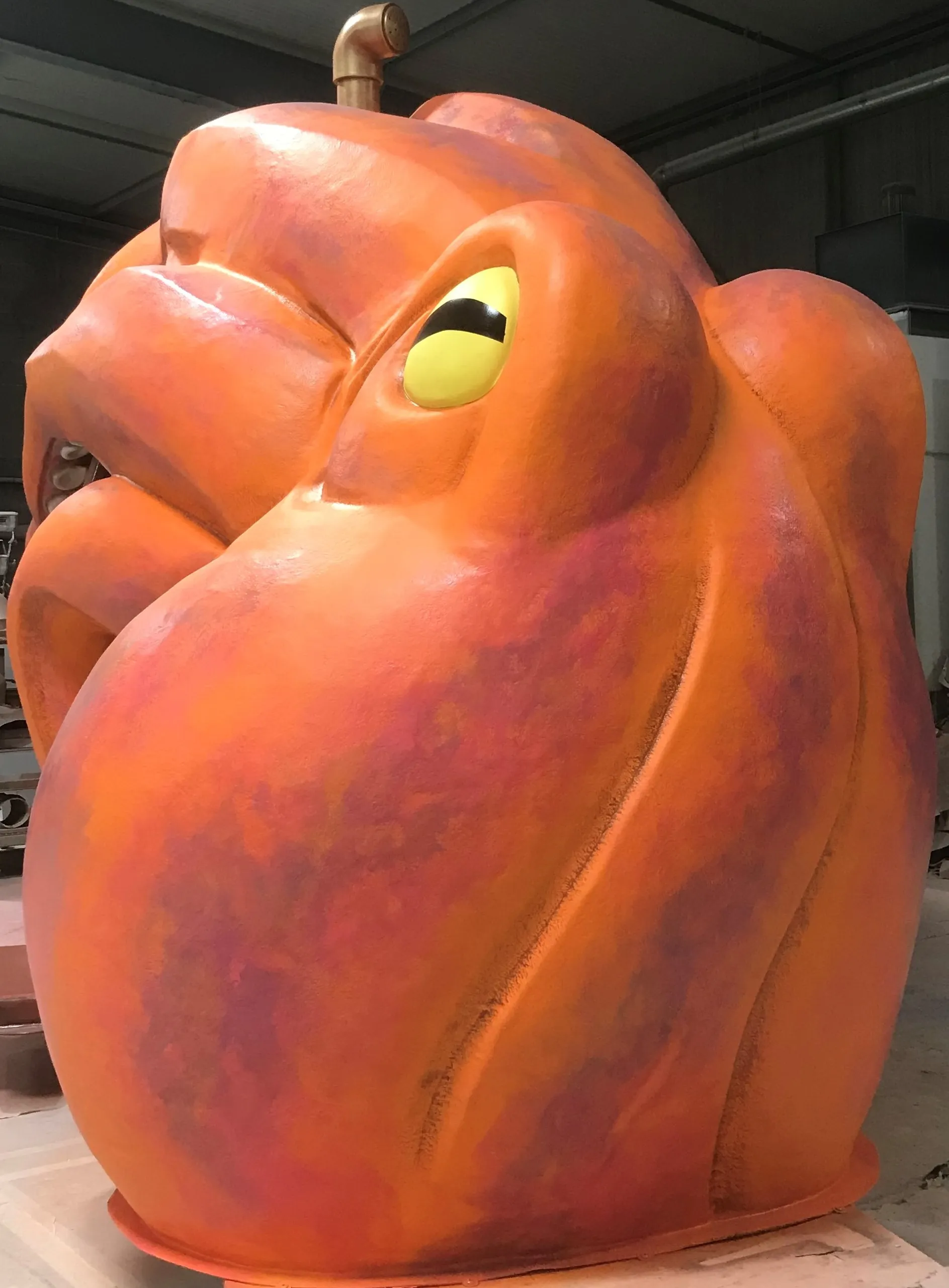 Image 31